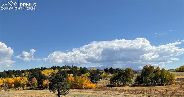 3153 Homestake Place