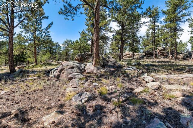 3153 Homestake Place