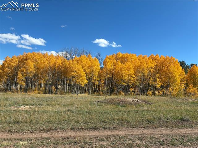 3153 Homestake Place