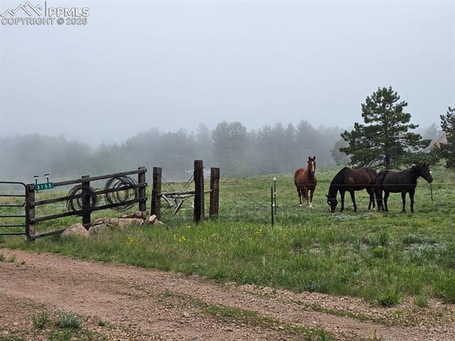 3153 Homestake Place