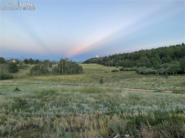 3153 Homestake Place