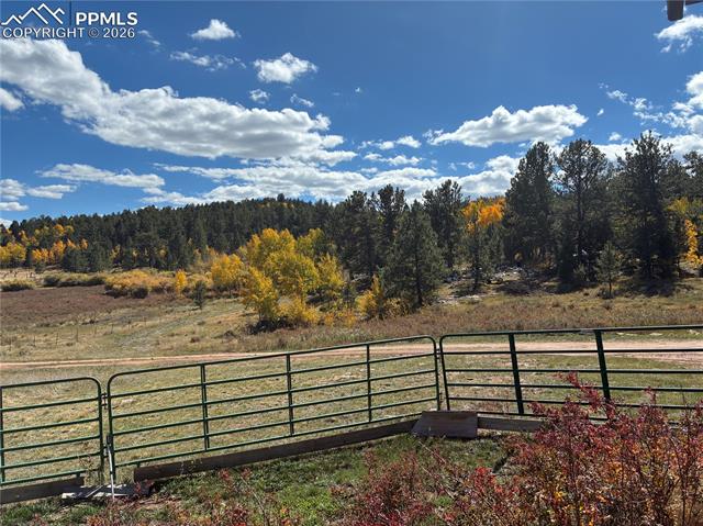 3153 Homestake Place