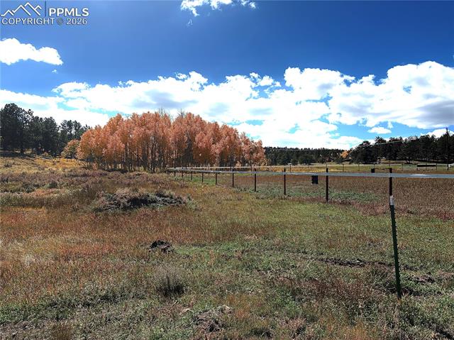 3153 Homestake Place