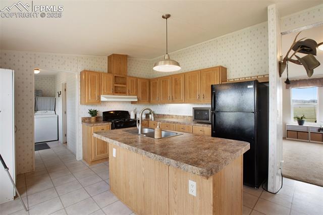 463 Snowshoe Lane