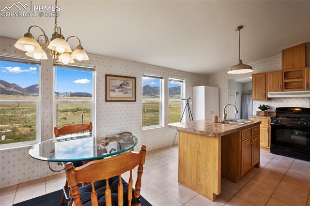 463 Snowshoe Lane