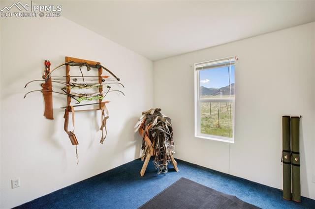 463 Snowshoe Lane