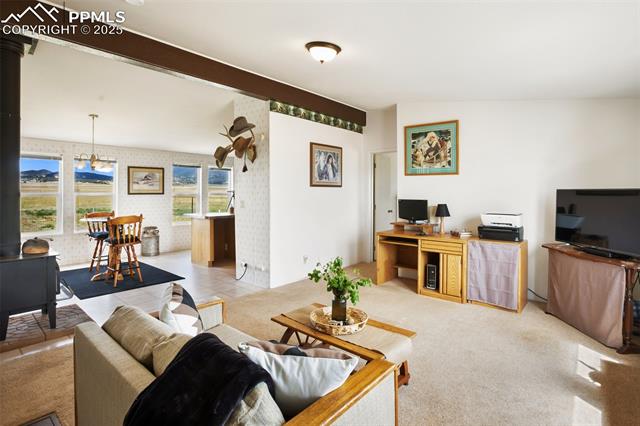463 Snowshoe Lane
