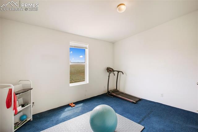 463 Snowshoe Lane