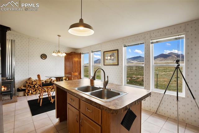 463 Snowshoe Lane