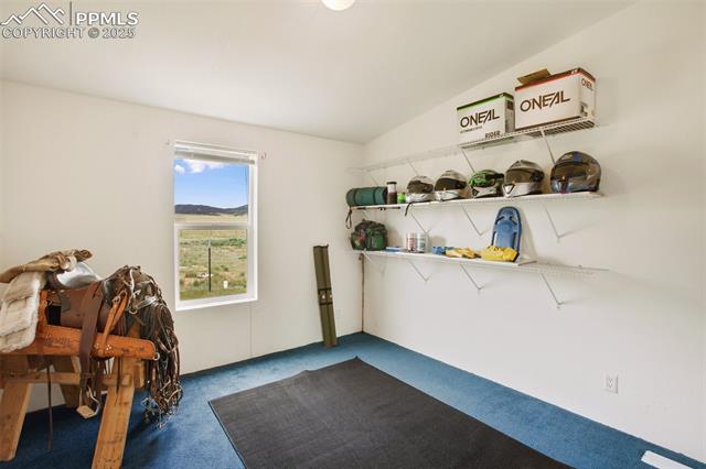 463 Snowshoe Lane