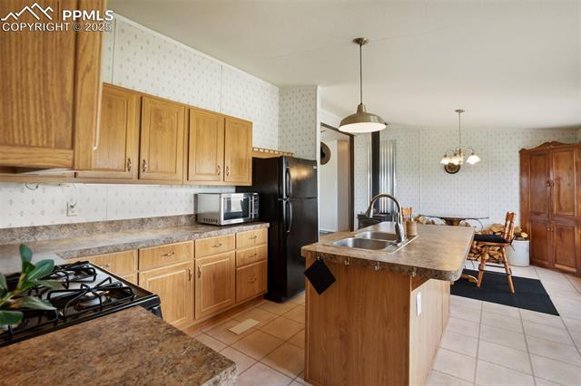 463 Snowshoe Lane