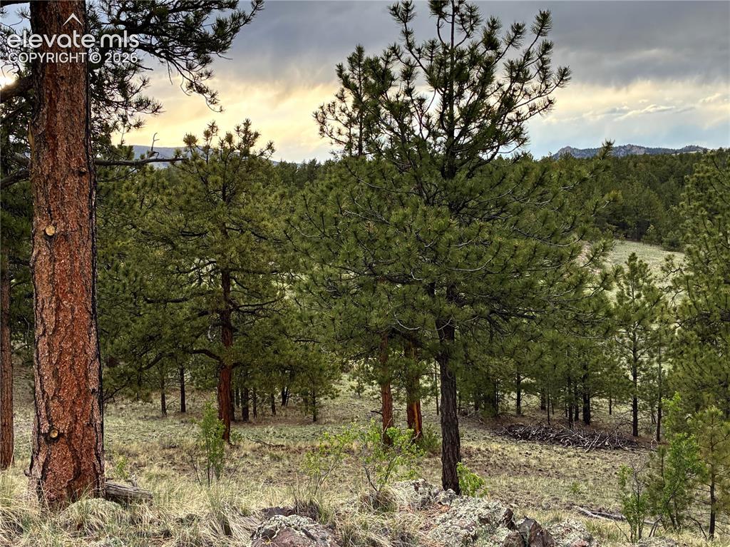 6951 County Road 71