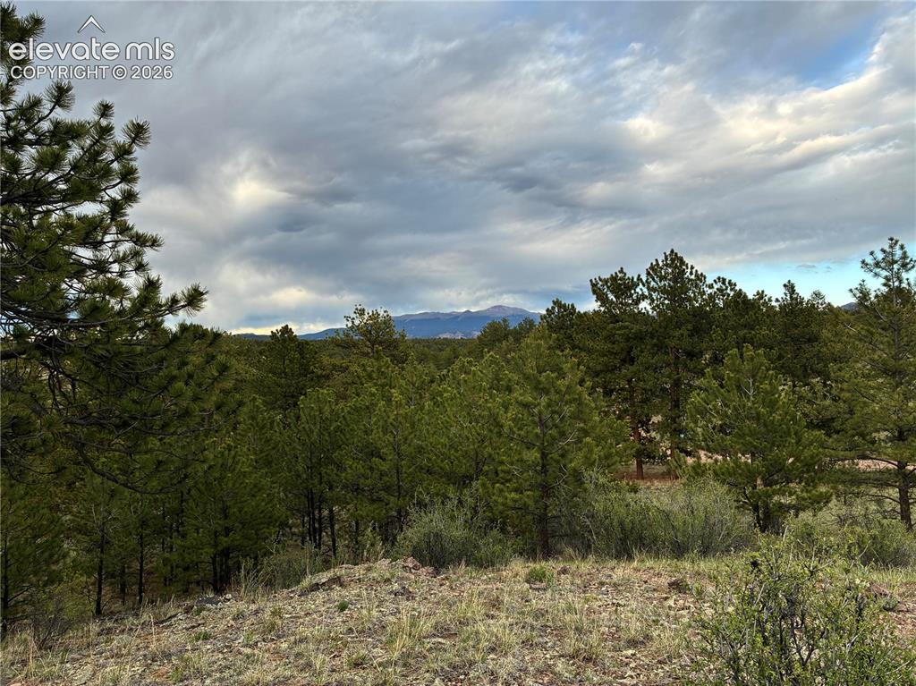 6951 County Road 71