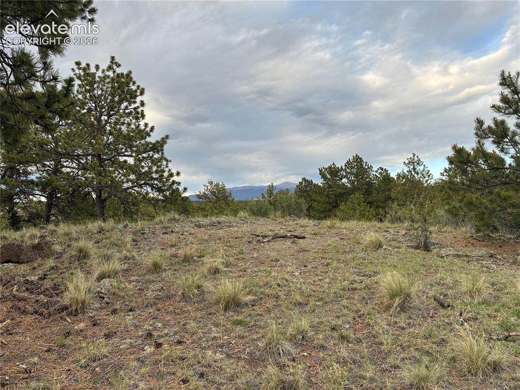 6951 County Road 71