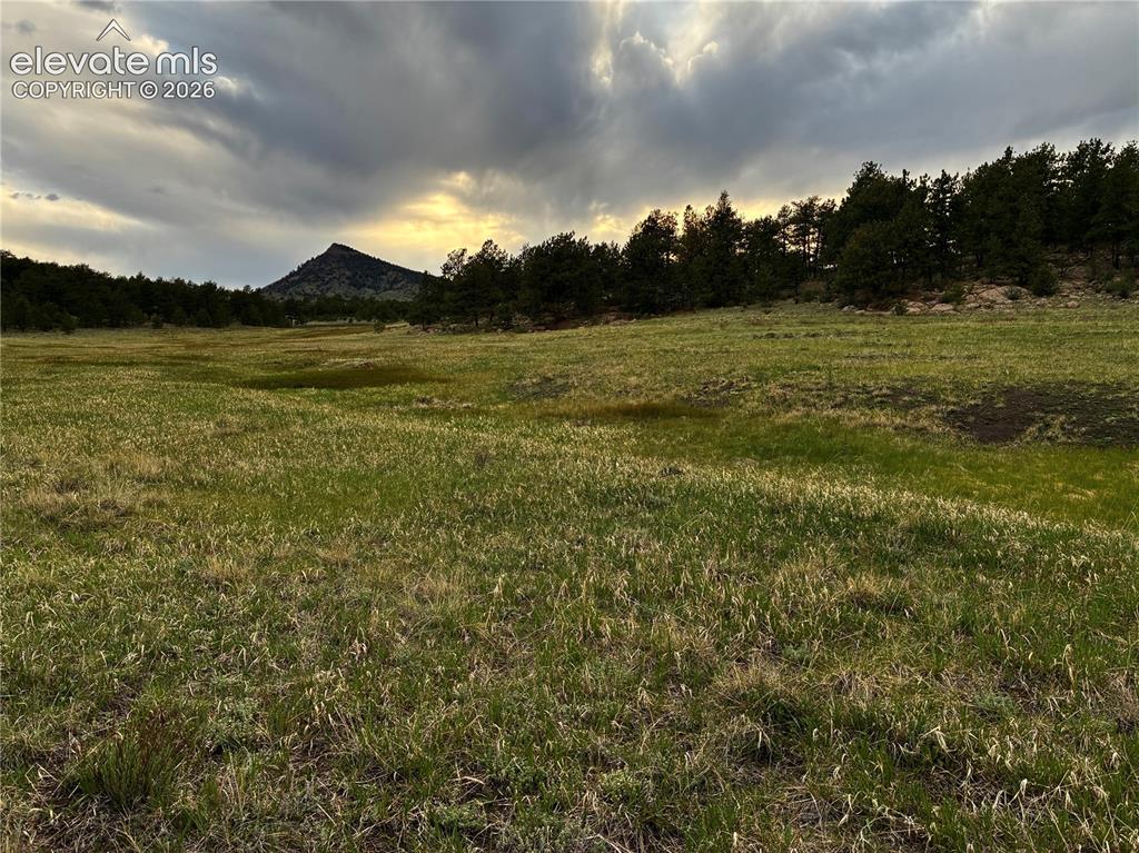 6951 County Road 71