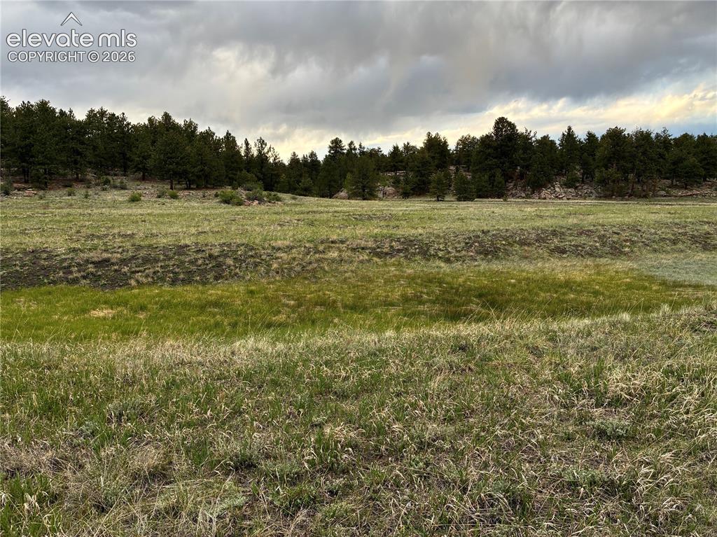 6951 County Road 71