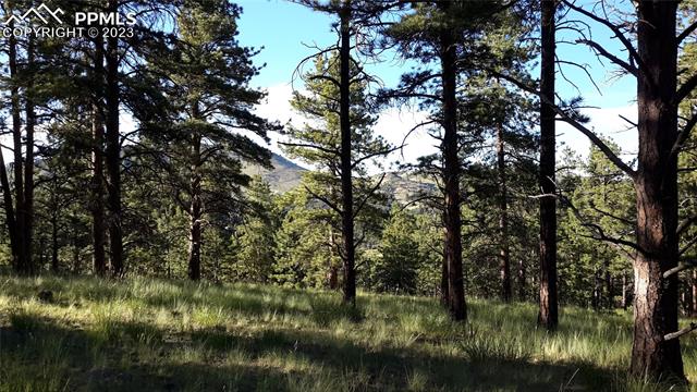 9048 County Road 102