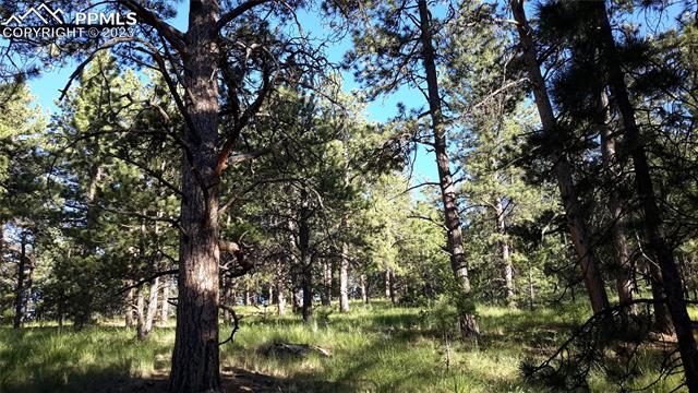 9048 County Road 102