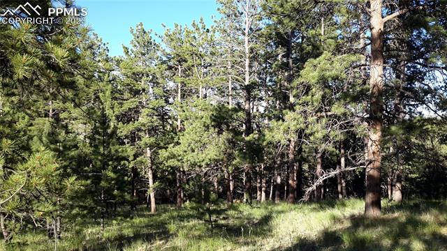 9048 County Road 102