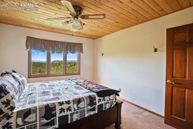 237 Wolftone Drive