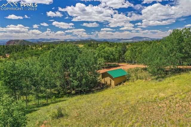 237 Wolftone Drive