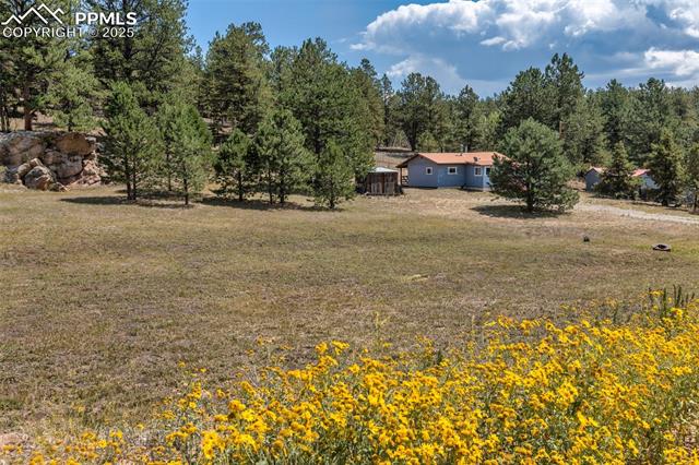 272 Spring Valley Trail