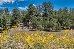 272 Spring Valley Trail