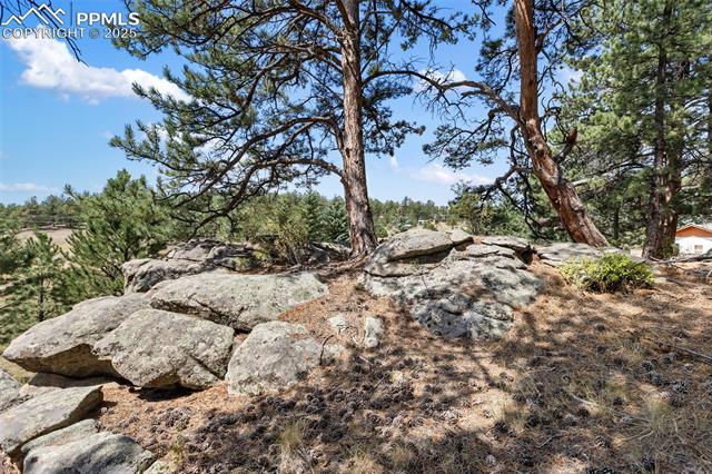 272 Spring Valley Trail