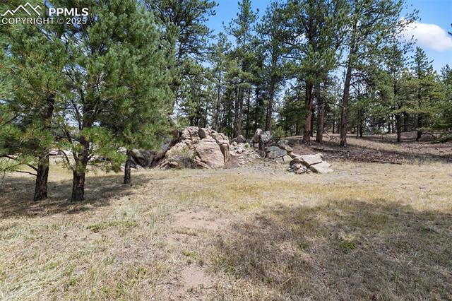 272 Spring Valley Trail