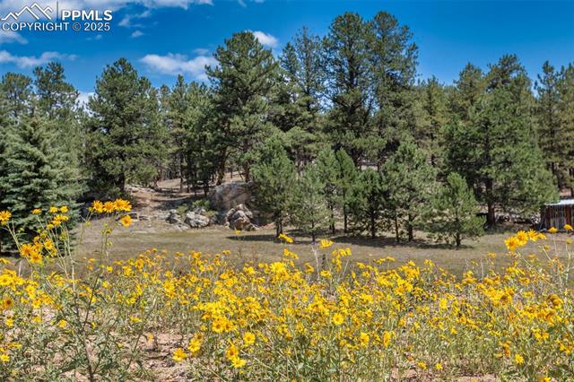 272 Spring Valley Trail