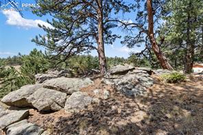 272 Spring Valley Trail