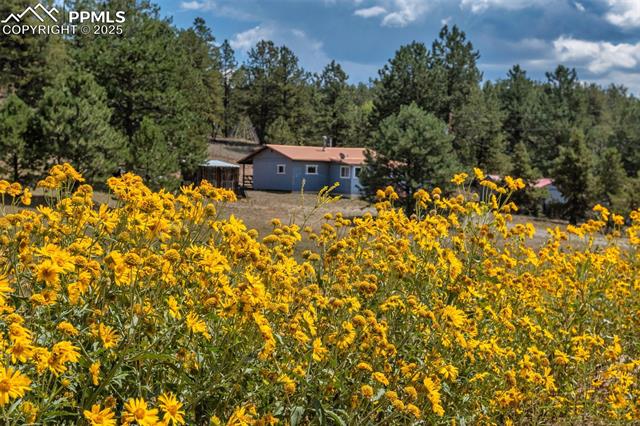272 Spring Valley Trail
