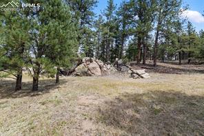 272 Spring Valley Trail