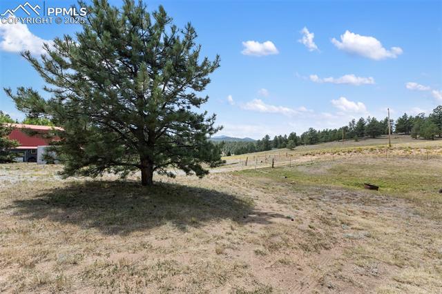 272 Spring Valley Trail
