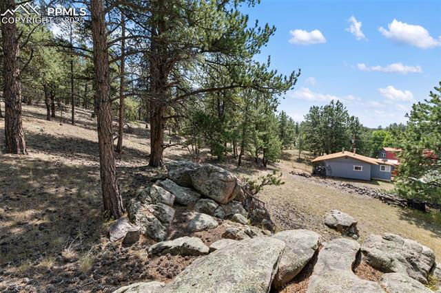 272 Spring Valley Trail