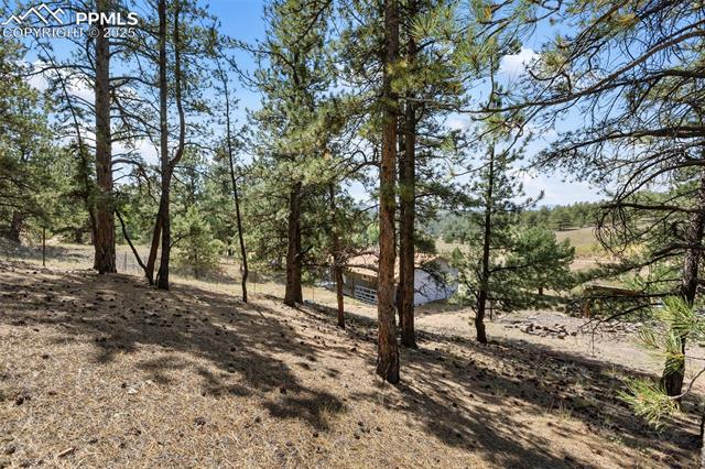 272 Spring Valley Trail