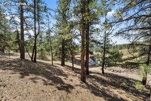 272 Spring Valley Trail