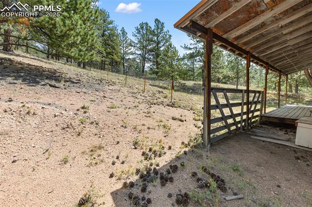272 Spring Valley Trail