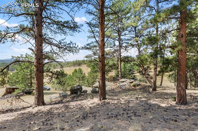 272 Spring Valley Trail