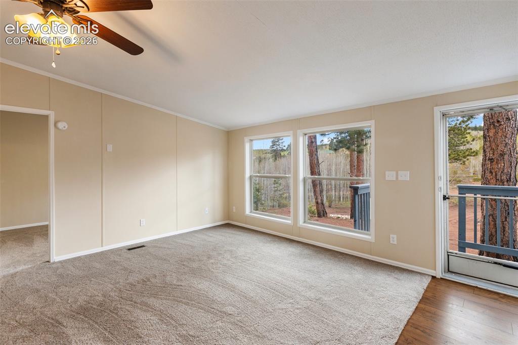 100 Wolverine Drive
