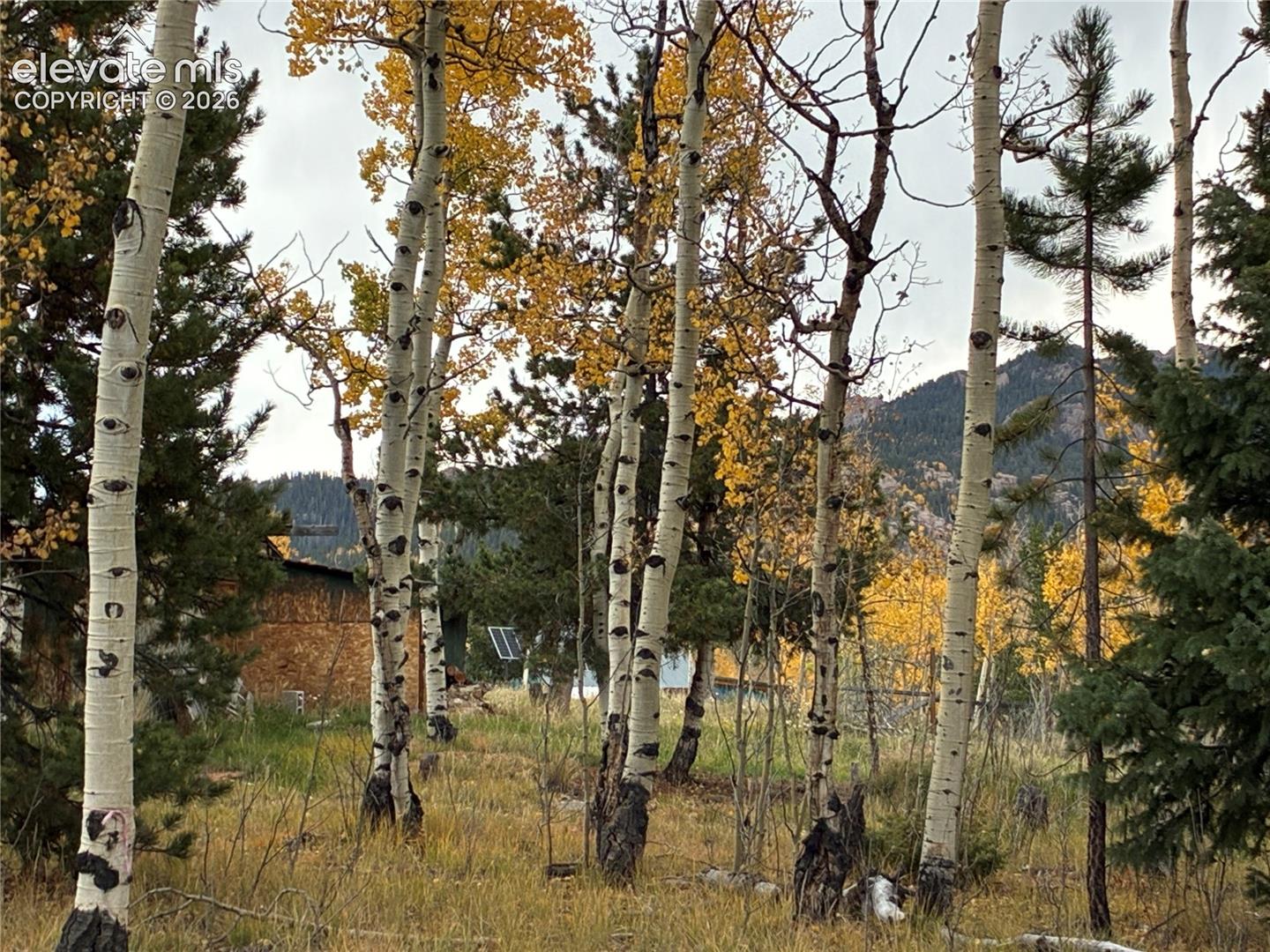 12201 S Highway 67