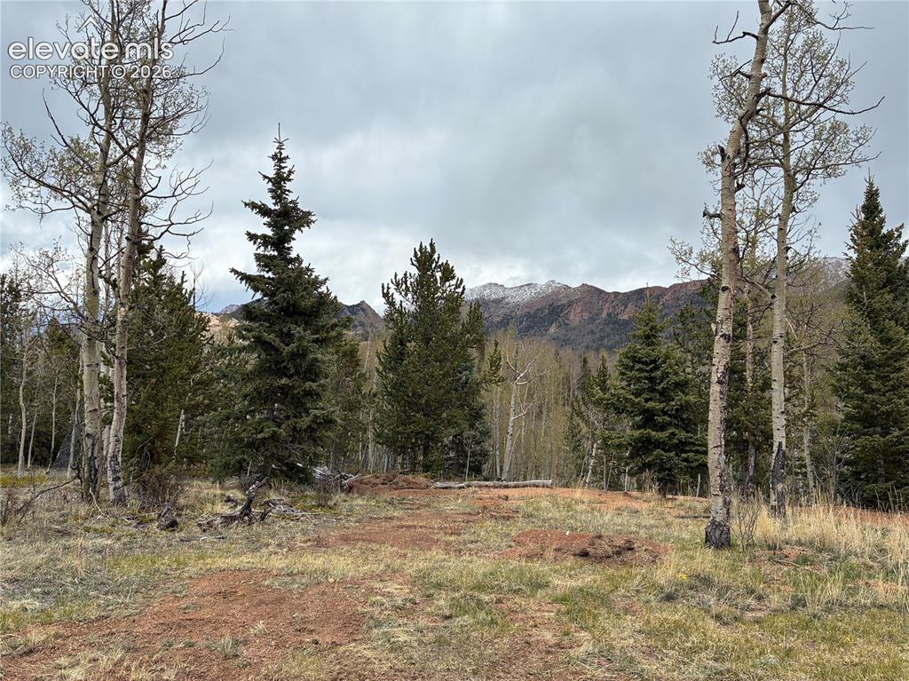 12201 S Highway 67
