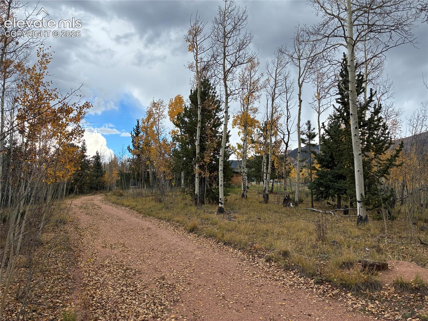12201 S Highway 67