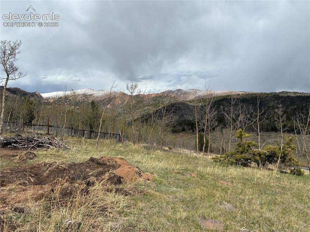 12201 S Highway 67