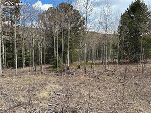 12201 S Highway 67