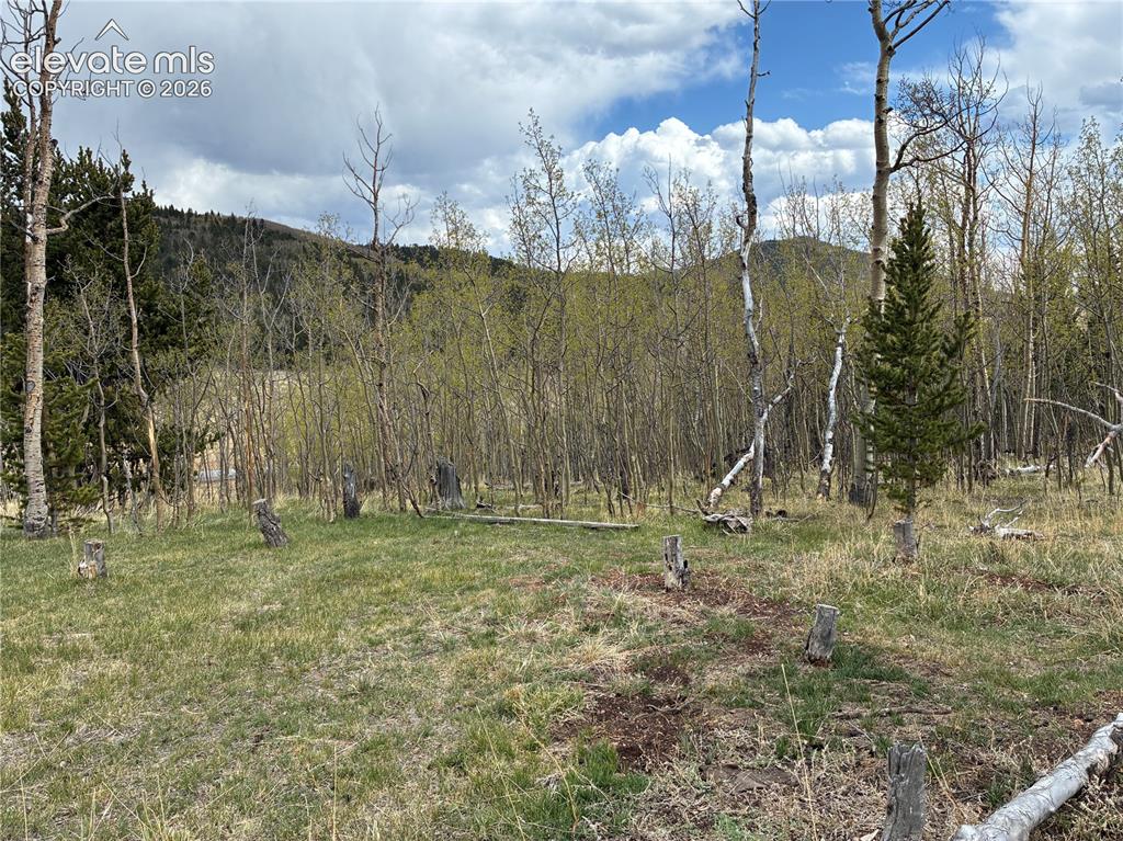 12201 S Highway 67
