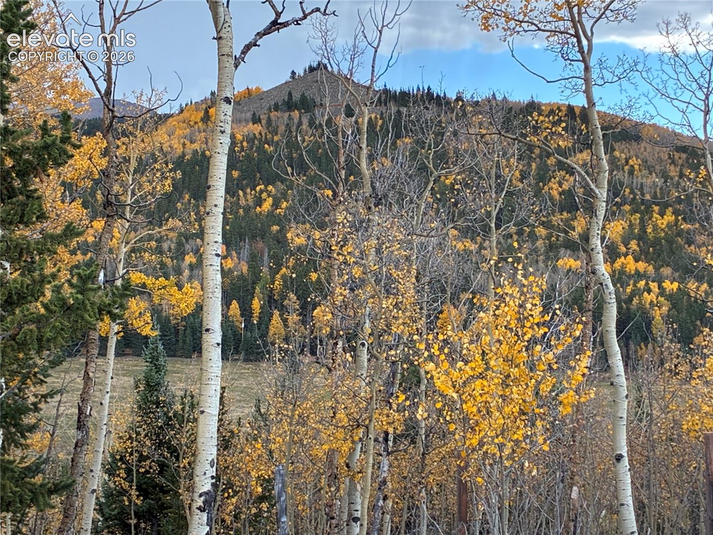 12201 S Highway 67