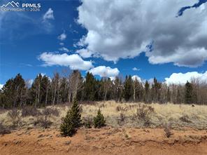 12201 S Highway 67