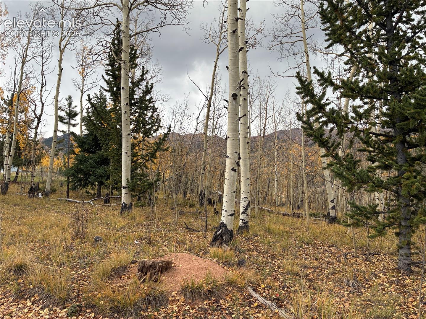 12201 S Highway 67