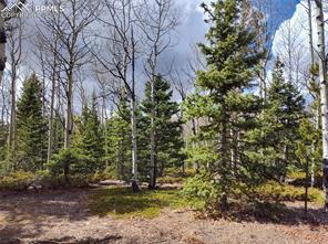 12201 S Highway 67
